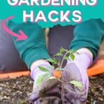 time-saving hacks for the garden with text which reads 20 time-saving gardening hacks