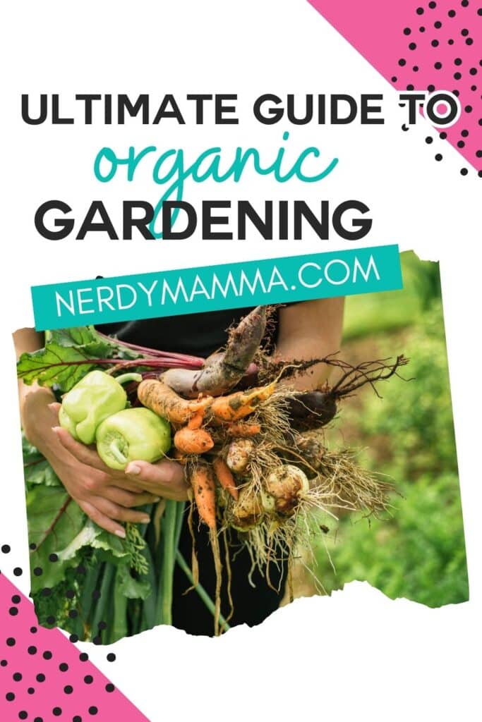 beginning organic gardening with text which reads ultimate guide to organic gardening