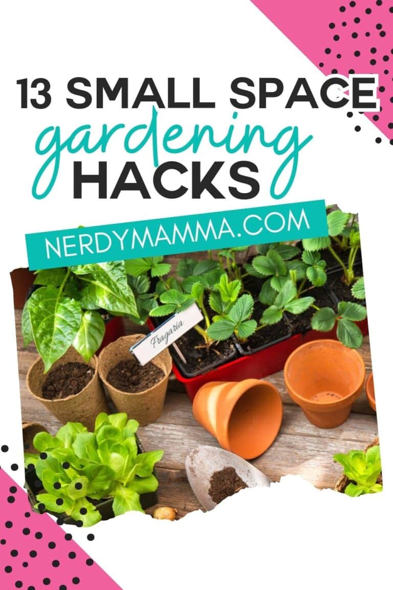 Picture of Maximizing Your Outdoor Space-13 Hacks for Small Gardens - Nerdy Mamma