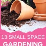tiny garden ideas with text which reads 13 small space gardening hacks