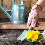 ideas to save time in the garden