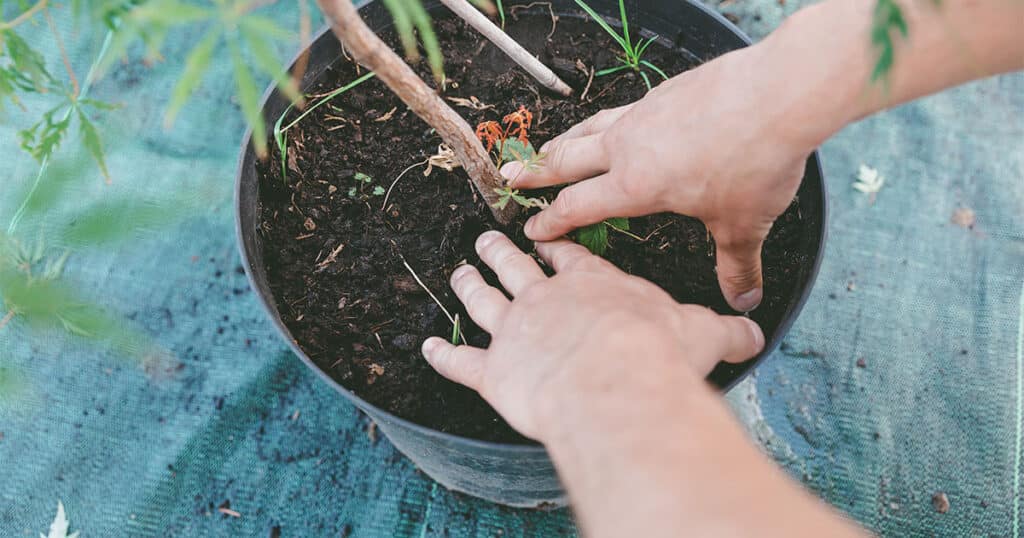 gardening hacks for small spaces