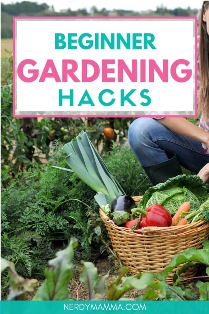 garden harvest in a basket with text which reads beginner gardening hacks