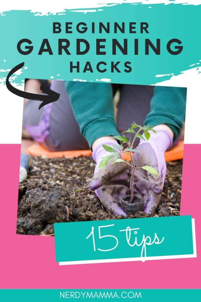 hands planting a new seedling with text which reads beginner gardening hacks 15 tips