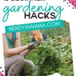 carrots being harvested from a garden with text which reads 15 beginner gardening hacks