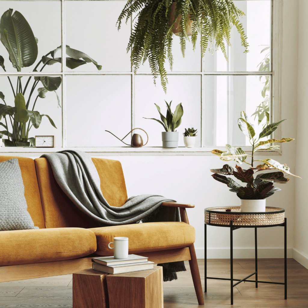 Interior design of Scandinavia n open space with velvet sofa, plants, furnitures, in a stylish home