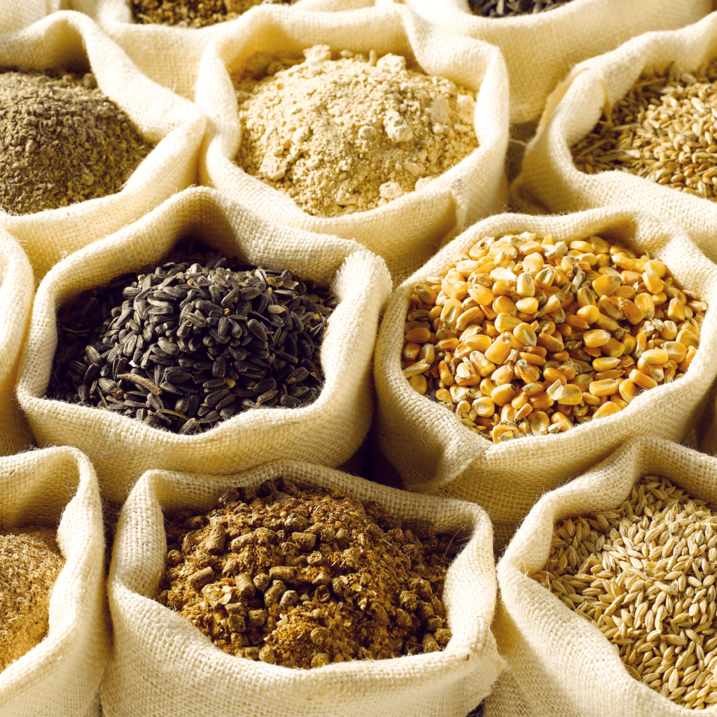 A picture of a assorted grains