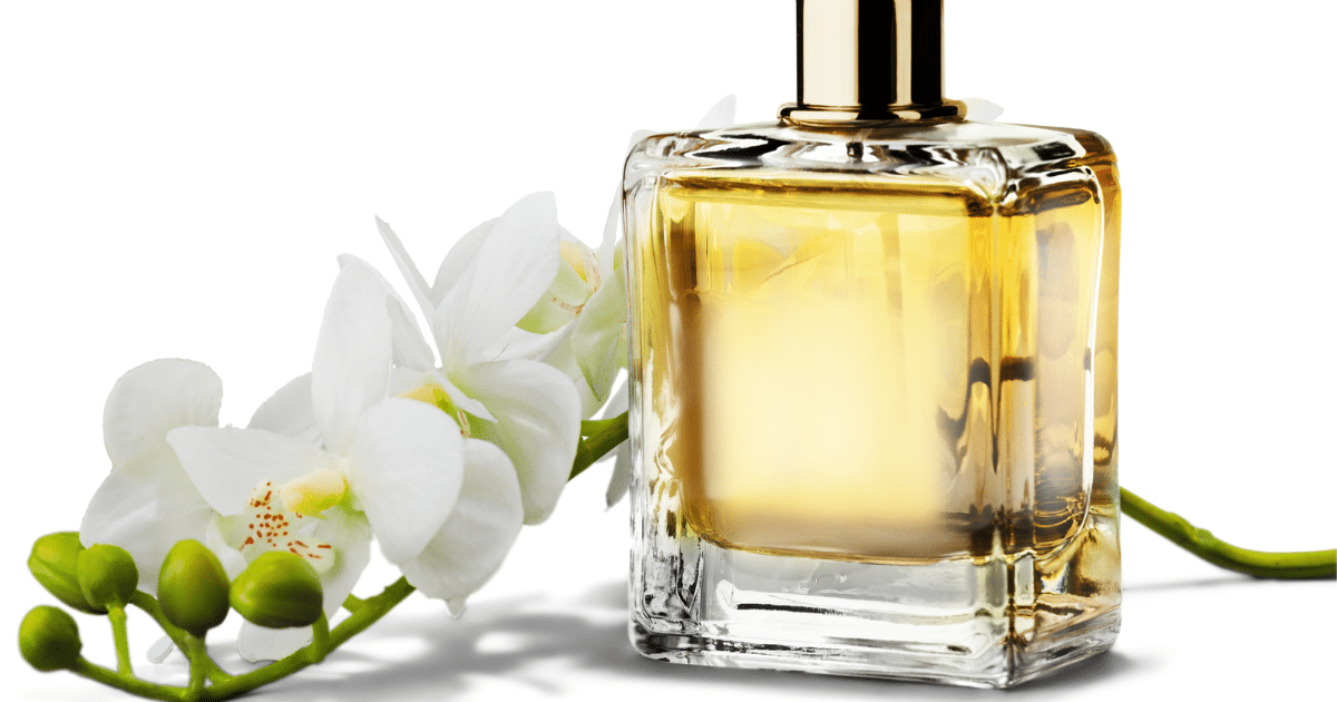 Glass of perfume bottle with flower in isolated cutout