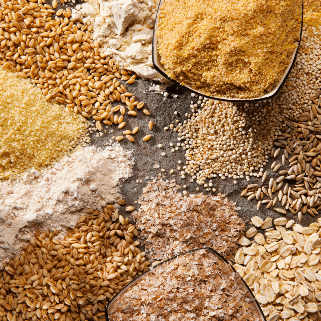 Piles of organic whole grains in different forms
