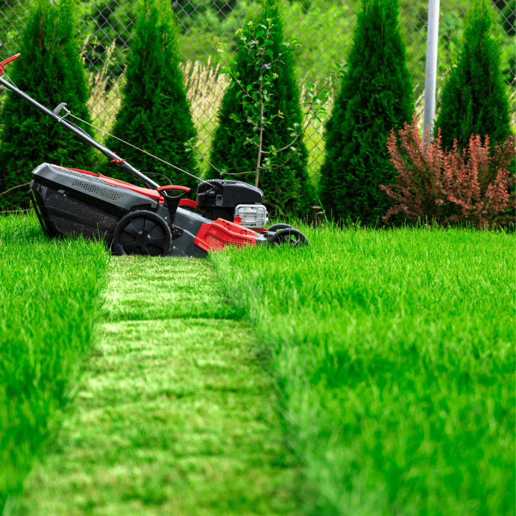 Lawn mower cutting tall green grass
