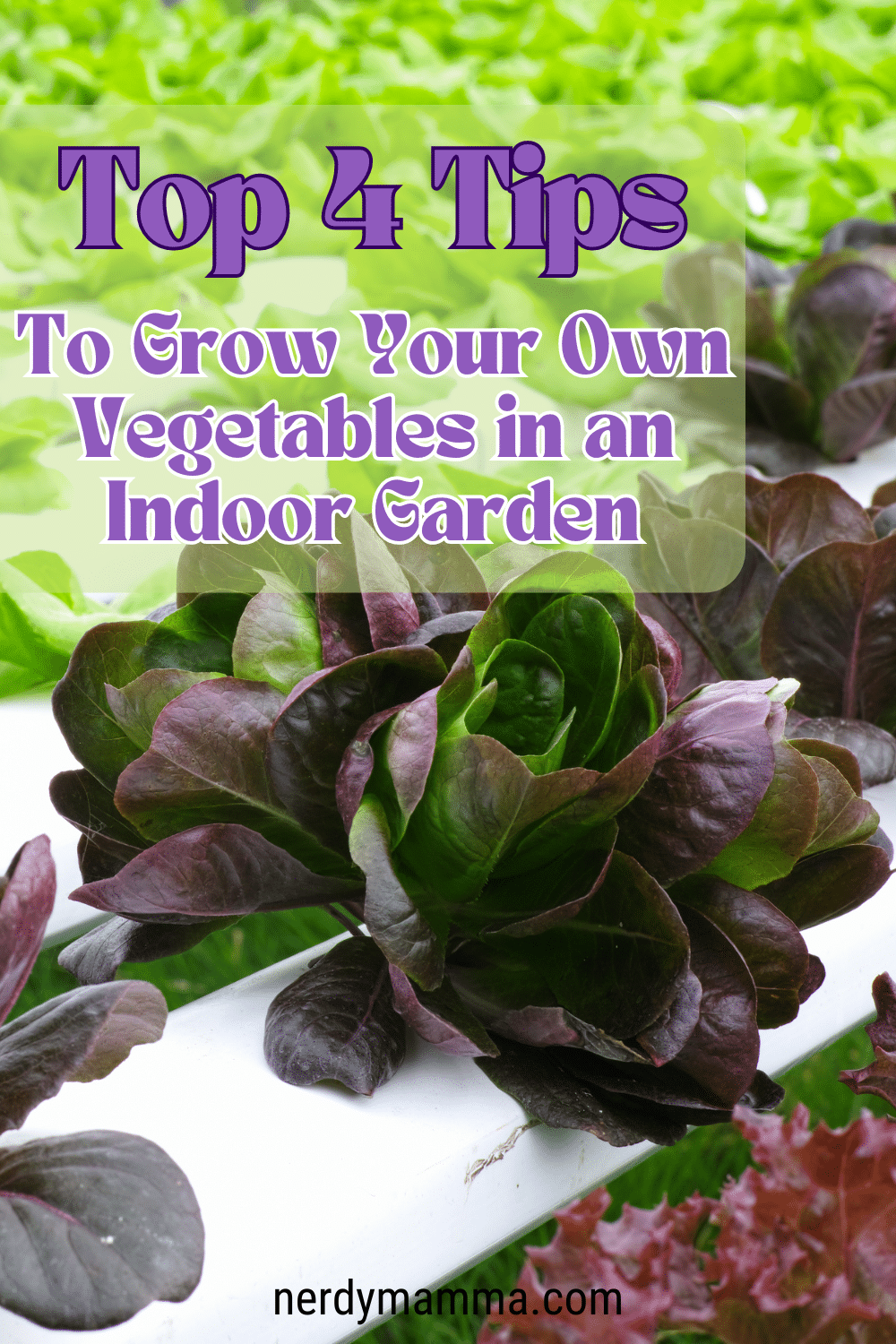 Top 4 Tips to Grow Your Own Vegetables in an Indoor Garden - Nerdy Mamma