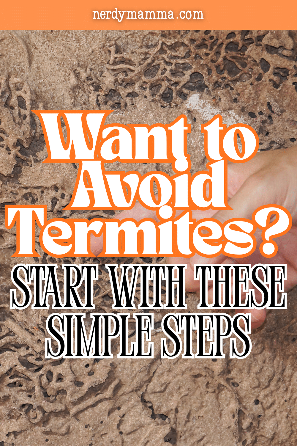 Want to Avoid Termites? Start with These Simple Steps - Nerdy Mamma