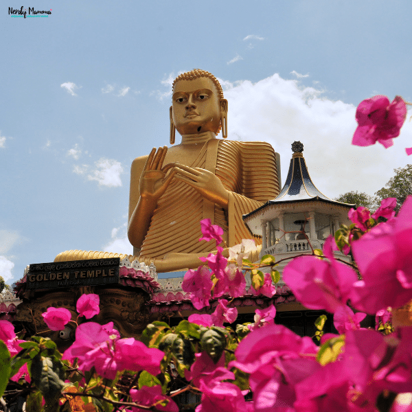 Large golden Buddha statue surrounded by vibrant tropical flowers, highlighting a cultural landmark often visited during family travel in Sri Lanka.