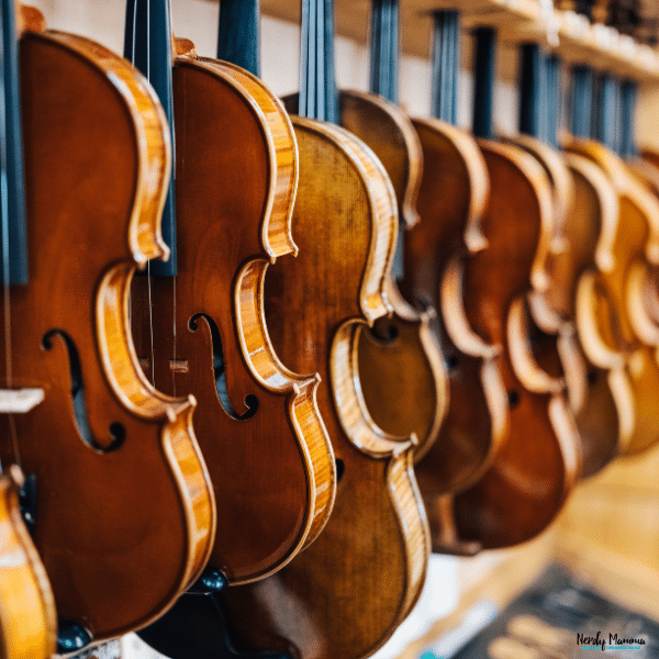 Selection of handcrafted violins displayed in a specialist violin shop, showcasing different instruments available for musicians of all skill levels.