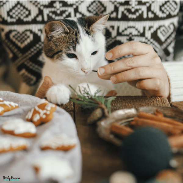 Curious cat reaching toward holiday treats on a table, highlighting the importance of keeping festive foods away from pets.