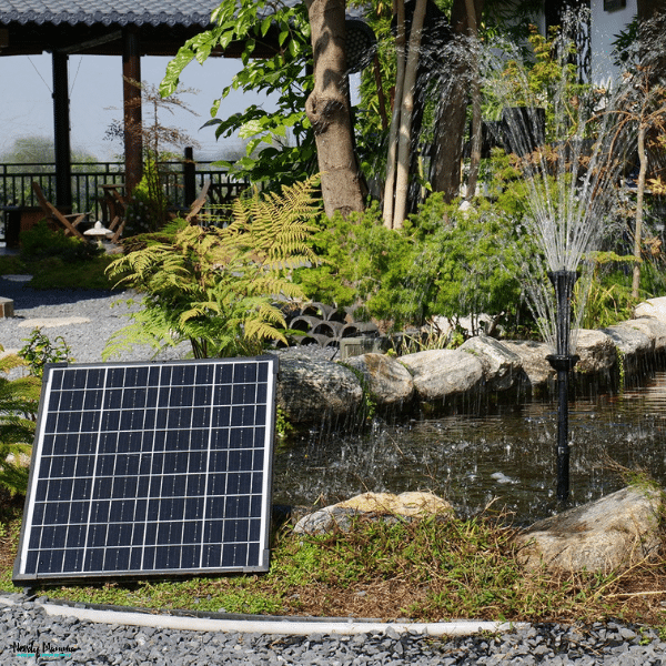 Solar-powered fountain operating in a landscaped garden pond, adding eco-friendly water movement and a relaxing outdoor atmosphere.