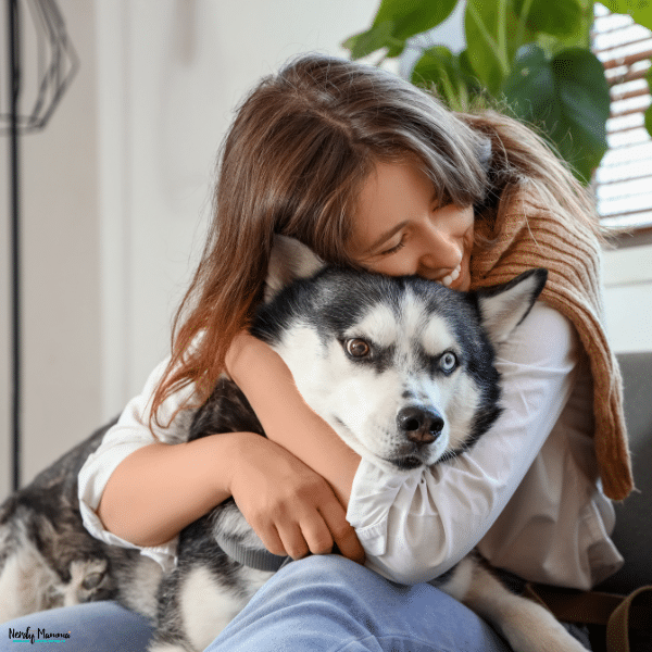 A person embraces a husky, representing the supportive bond often documented during the process of qualifying for an emotional support animal letter.