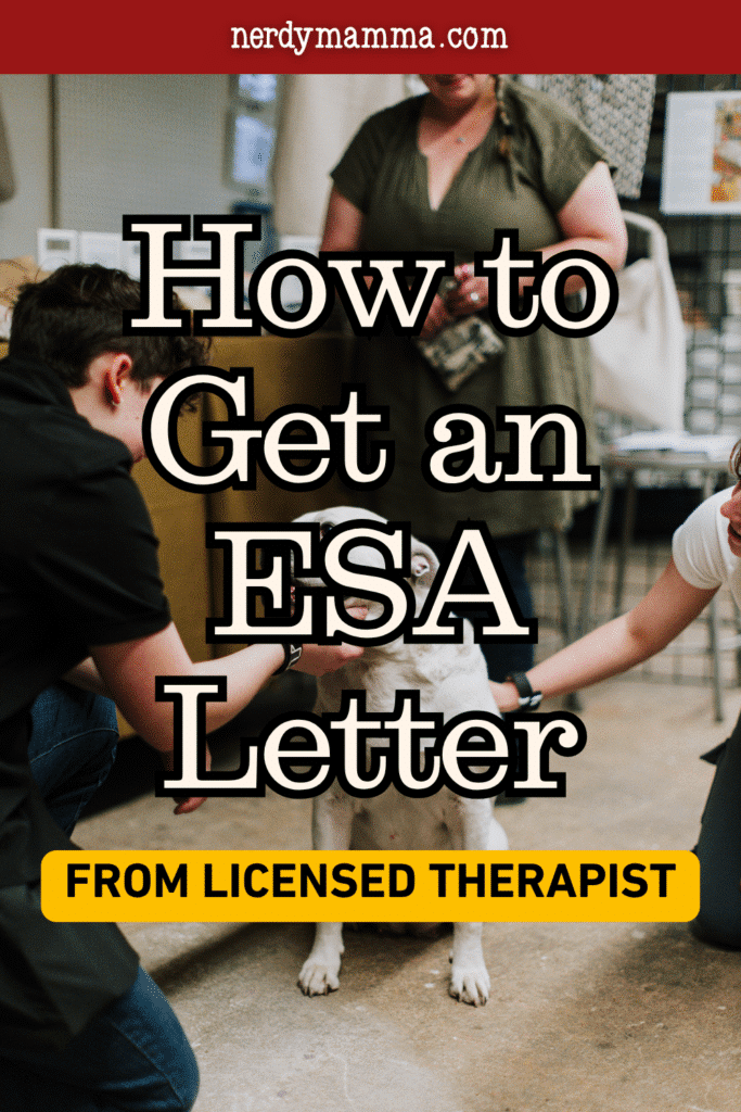 A therapist meets with a client and their dog during an emotional support animal evaluation in a professional office setting.