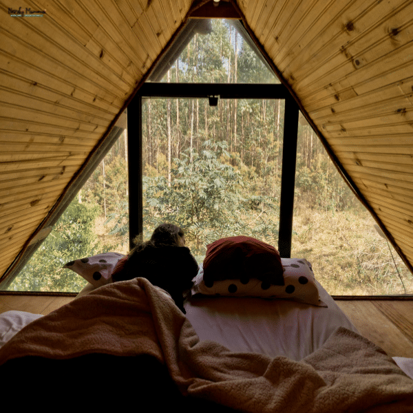 A cozy bedroom features a large triangular picture window that fills the space with natural light and scenic forest views.