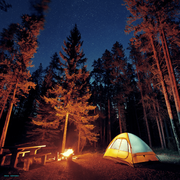 Tent set up beside a campfire in a forest at night, highlighting a safe overnight camping environment.