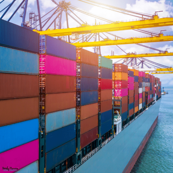 A cargo ship loaded with stacked shipping containers at a busy port, highlighting specialized container transport and global freight shipping.