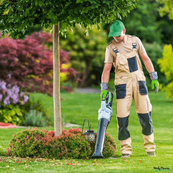 Gardener using a cordless leaf blower to clear debris around a landscaped yard, showing a practical tool for routine garden cleanup.
