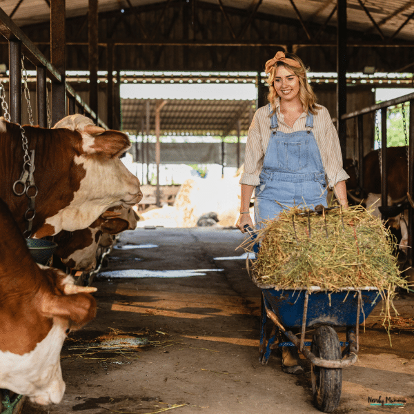 A woman pushes a hay-filled wheelbarrow past cows inside a barn, where open doorways provide pathways for barn ventilation.